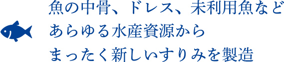 魚の中骨、ドレス、未利用魚などあらゆる水産資源からまったく新しいすりみを製造